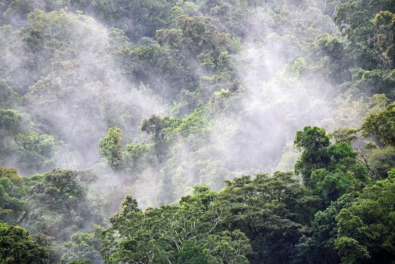 AI for Environmental Monitoring